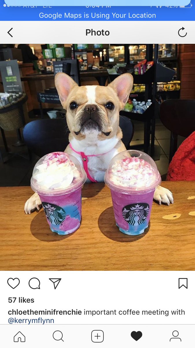 <a href="/ChrisStrub/">Chris Strub</a> <a href="/ChloeTheMini/">emma the mini frenchie 🐶</a> and I just got some