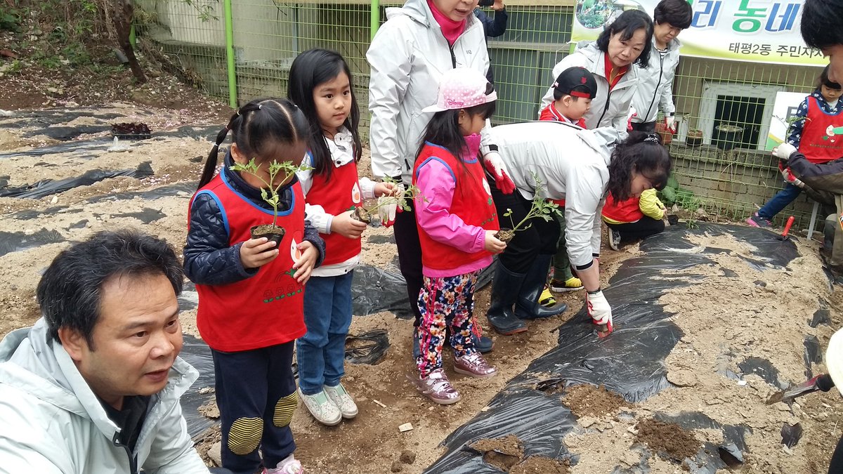 우리 동네 골목 텃밭에서 
모종을 심네요^^
올망졸망 고사리 손들이
새싹을 심어요
참 예쁘네요