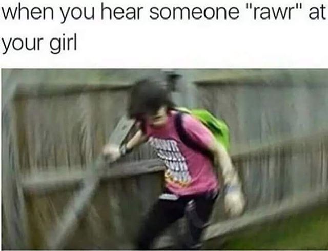 mysweetskill's tweet image. #latenightmemeswithollie 
"I'm Sooooooo bored!"