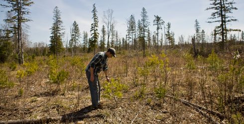 HIConserv's tweet photo. Best areas for Forest #Restoration?  Areas that reduce flammability and increase #groundwater recharge. #NREMSeminar
https://t.co/ZTo6h9VLrD https://t.co/VufVDepCoK