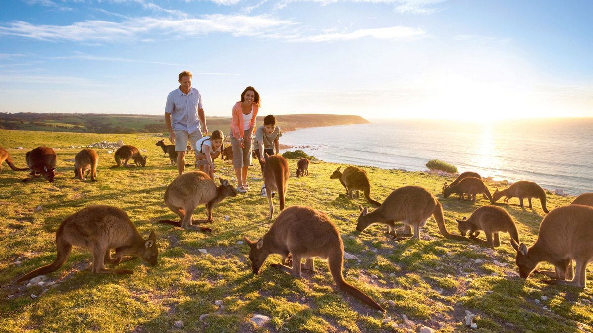 Put #SouthAustralia on your #travellist if you are looking to connect with #wildlife in the #nature. #Escapethezoo visit #KangarooIsland