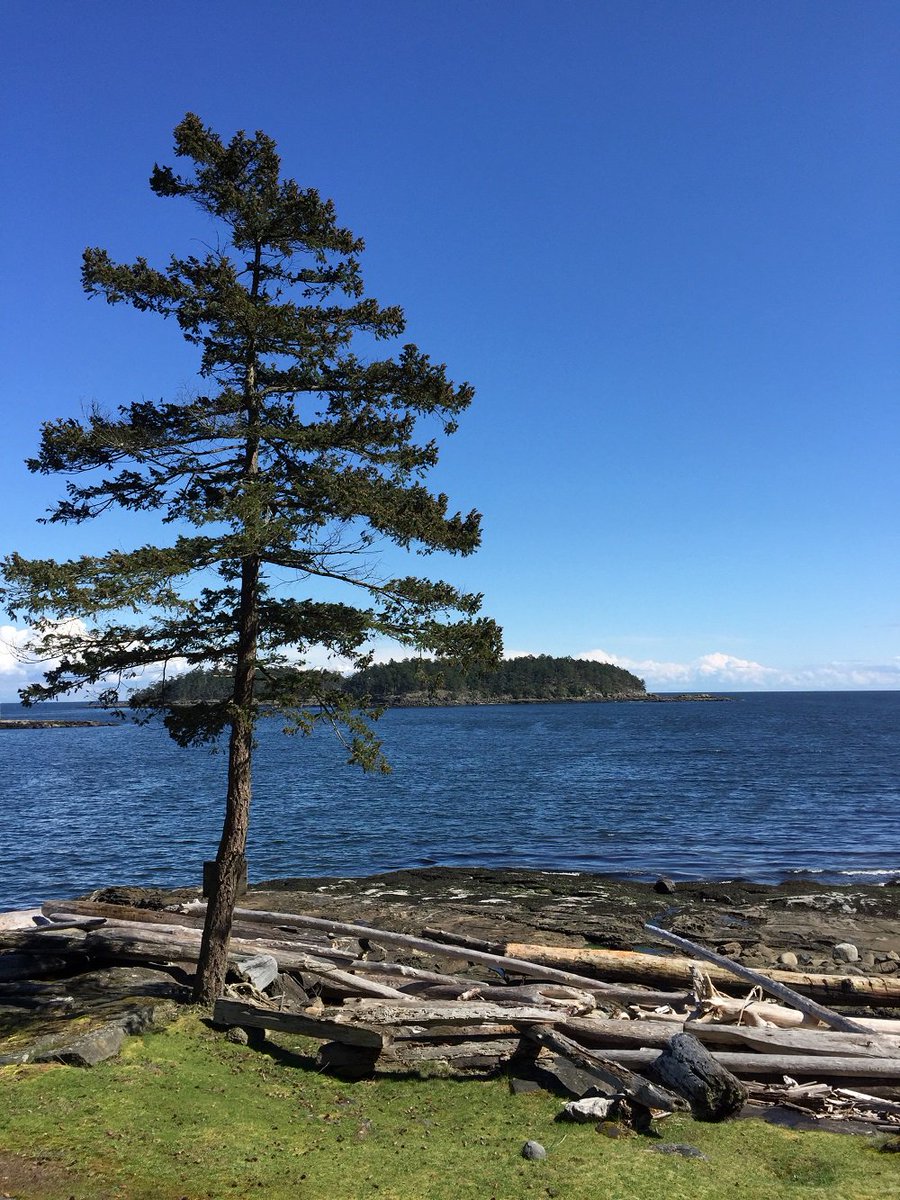 UniqueAssets's tweet image. Another #Privateisland SOLD, another LISTED! Sear Island in BC's Gulf Islands. Impeccable, accessible, unforgettable bit.ly/2pTUL6h
