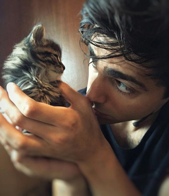 ADAMONGUiTAR's tweet photo. everyone, meet Turkey my new cat https://t.co/u0VNGxshCW