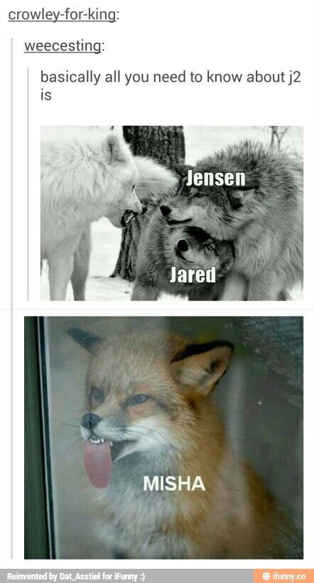 Supernatural_FanPage tweet media