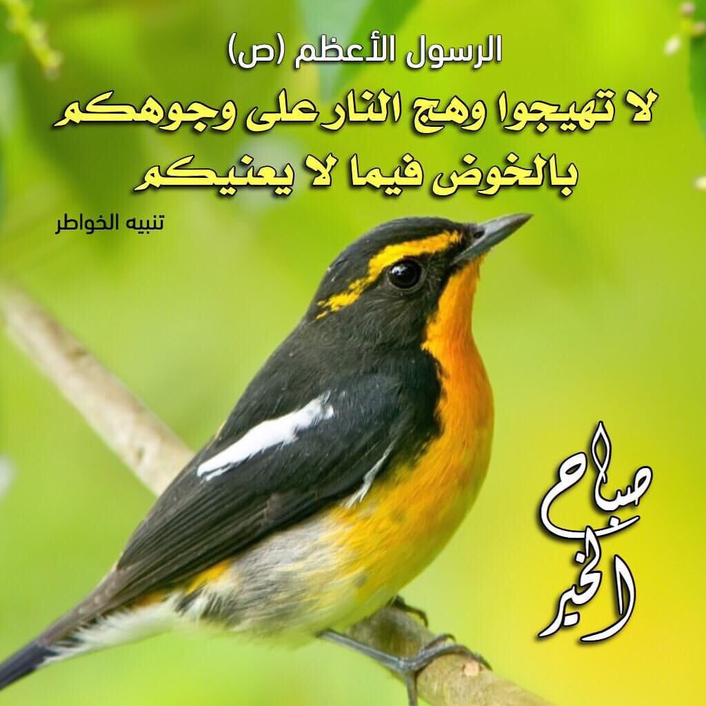 ☀ إشراقة صباحية   ☀️
اللهـم ما أصبـح بي مـن نعـمة أو بأحـد مـن خلـقك ، فمـنك وحـدك لا شريك لـك ، فلـك الحمـد ولـك الشكـر  
صباح الخير 🌟