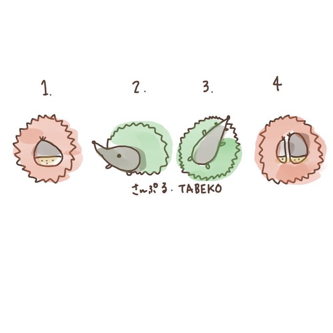 ハリネズミのtwitterイラスト検索結果 古い順