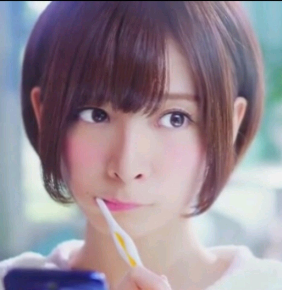 橋鳥姉妹 Twitter Search Twitter