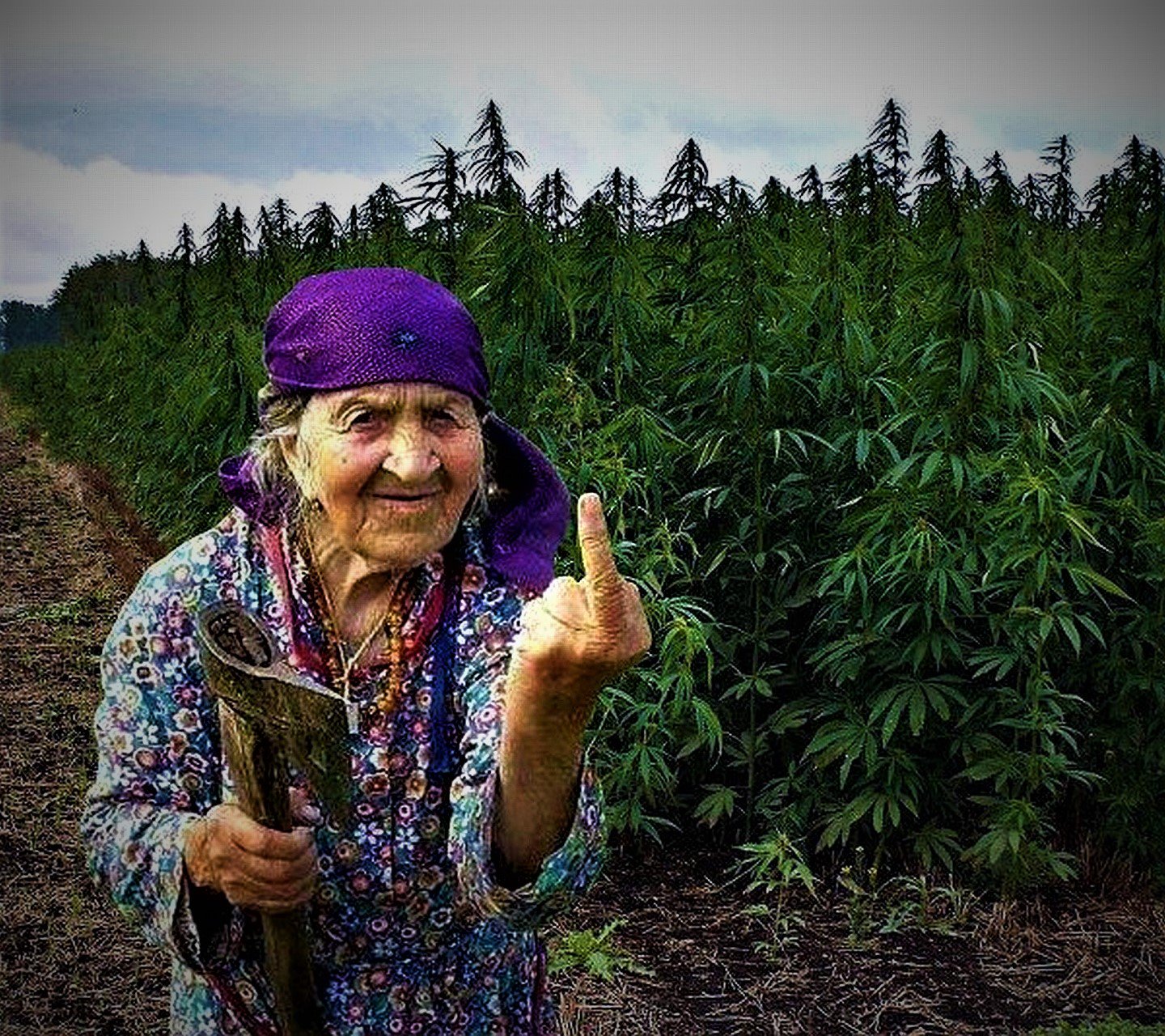 картинки на аву бабушке