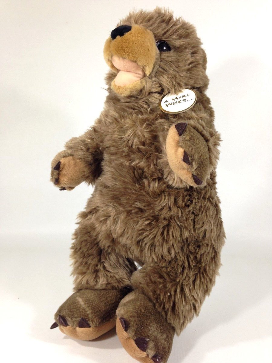 STEEL5757's tweet image. Build A Bear Groundhog ebay.com/itm/Build-A-Be…   #toyplush #feltplushie #plushsize #plushforsell