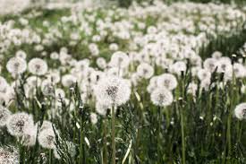 NIALL_MY_'s tweet image. Взаимноооооо

#ФайнисФолловитКаждого