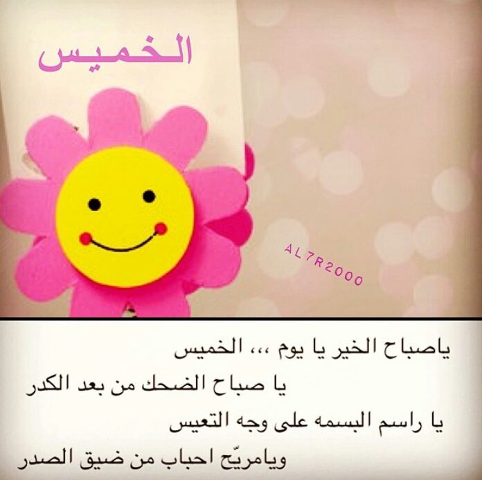 Bint Sultan (@redbint955) on Twitter photo 