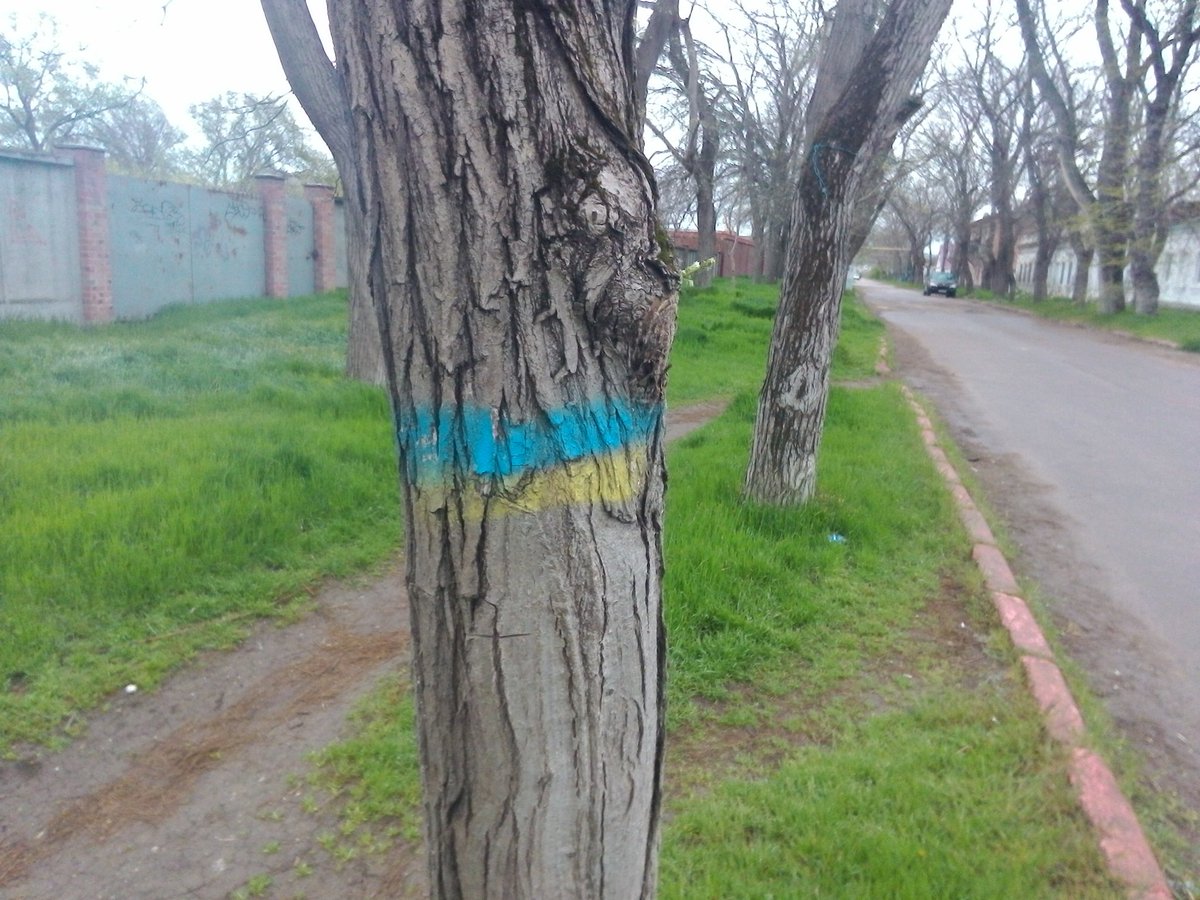 Посмотреть изображение в Твиттере