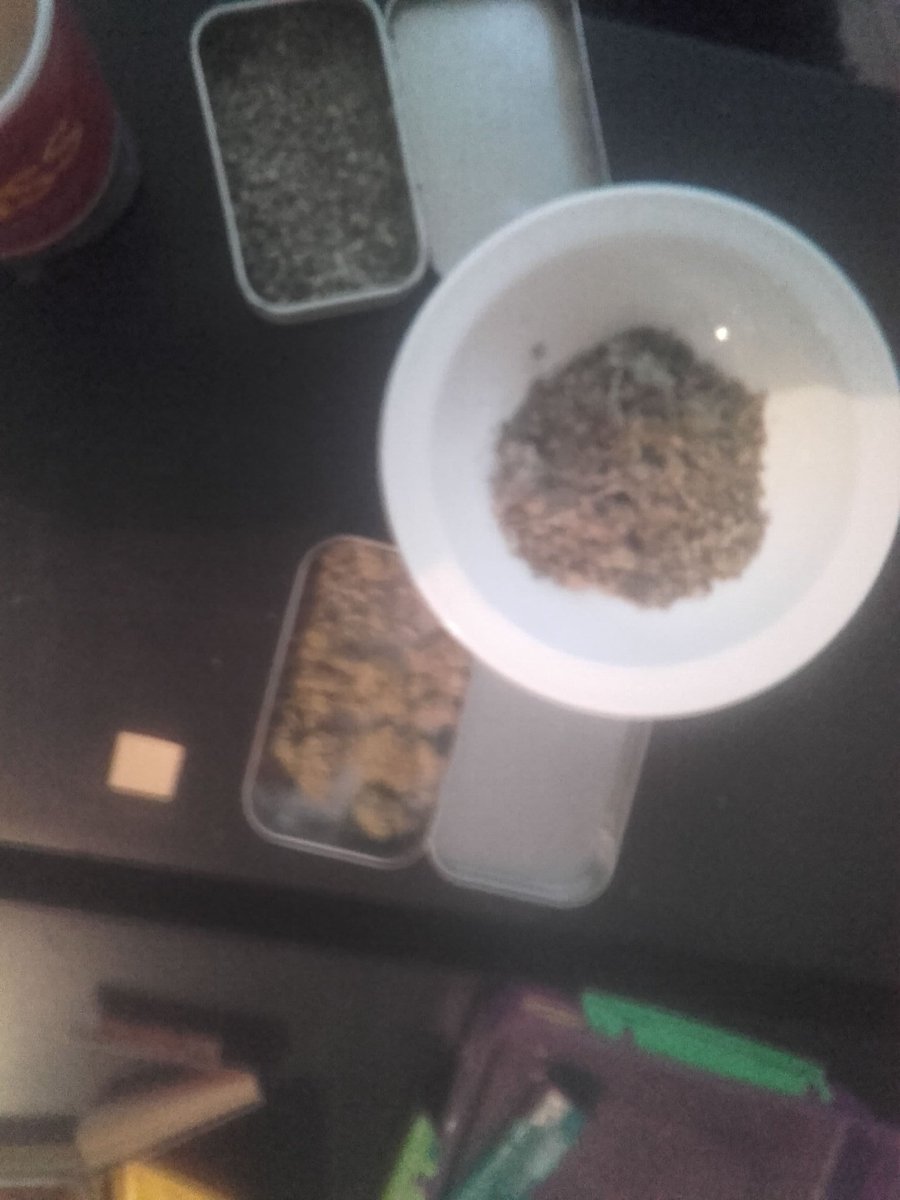 MichaelDowling6's tweet photo. Happy 4/20 everyone!!! May you be blessed with only the finest green on this holy holy day. https://t.co/oDMi3bApJE
