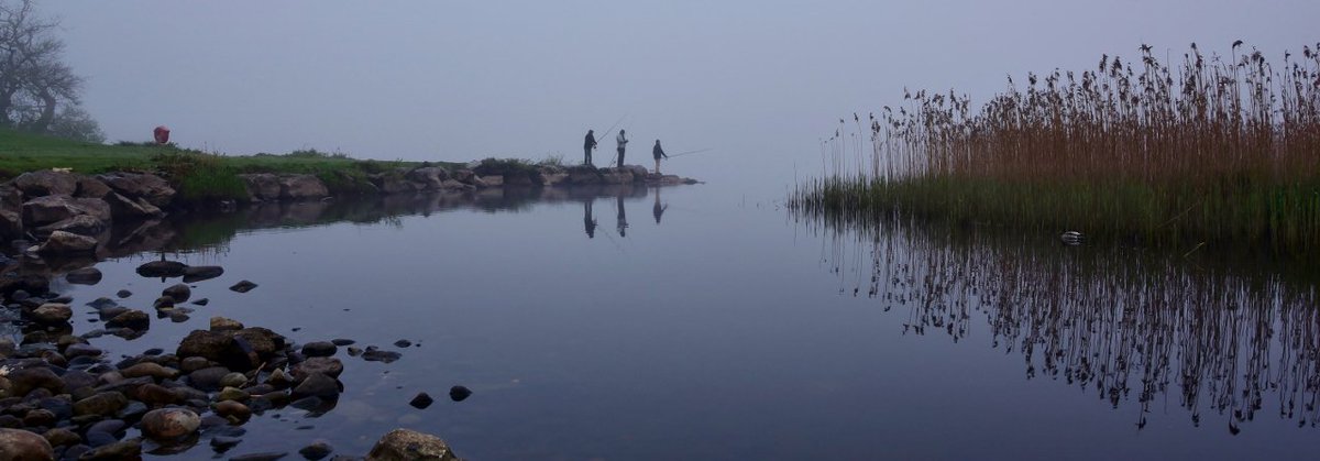 BoondockSaintIR's tweet photo. @deric_hartigan #3eWeather Fishing at a foggy Ross Castle #Killarney #Ireland #LoveKillarney #LoveKerry #LoveIreland #DiscoverIreland https://t.co/nTkzbZHgCs