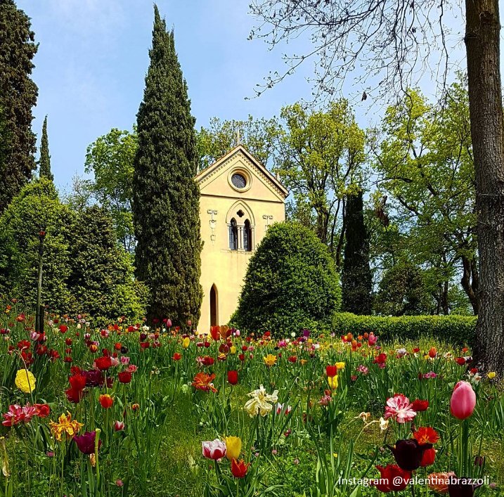 TurismoVeneto's tweet photo. Fino al #30aprile lo spettacolo di #Tulipanomania #ParcoSigurtà #ValeggiosulMincio https://t.co/45h23QWesW  #VisitVeneto https://t.co/WHtmX8d7A7