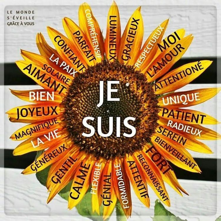 ffrenchay's tweet photo. A superb visual with lots of #French vocab. #mfltwitterati https://t.co/BBdhgL8XxO