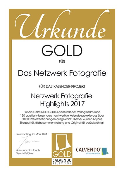 Netzwerk Fotografie tweet media