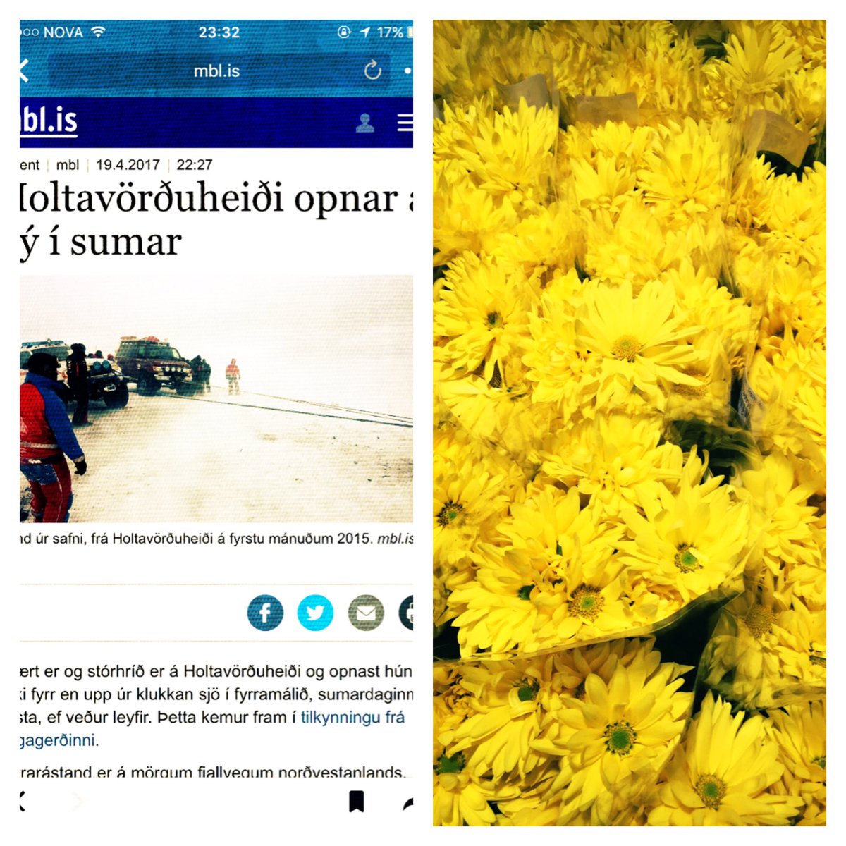 Vildi bara segja gleðilegt sumar 🙂