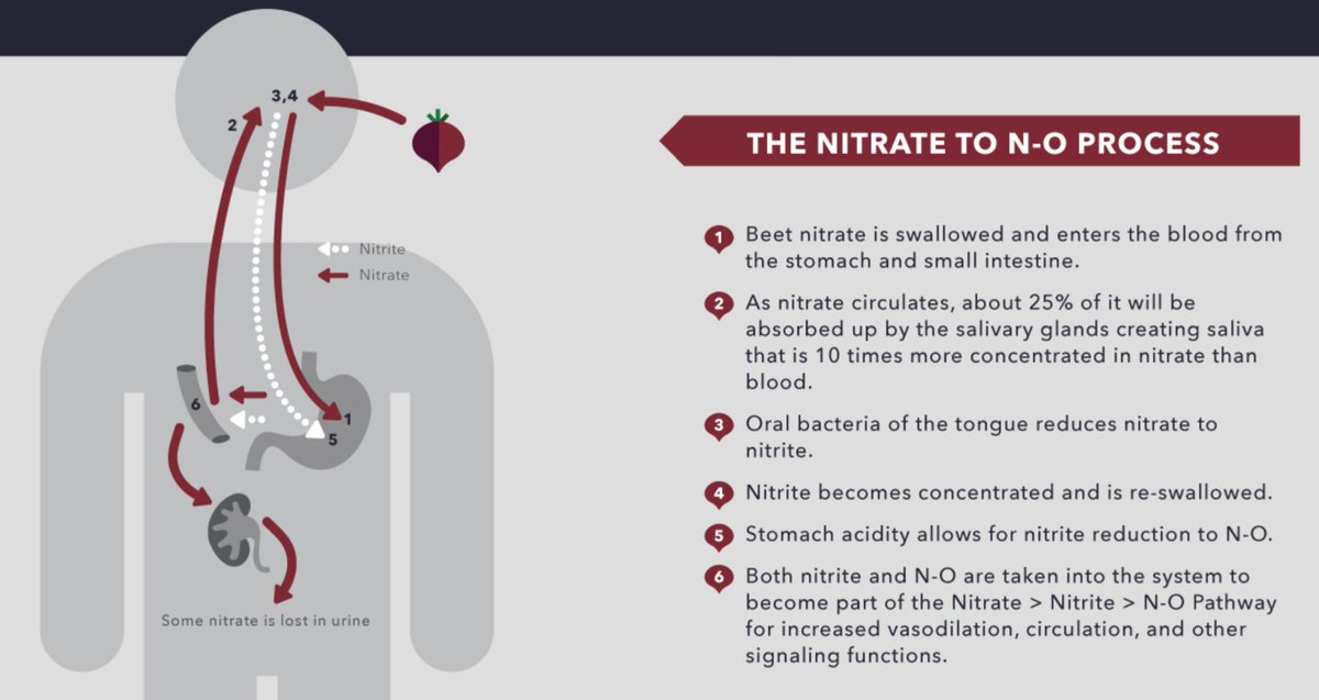 Preworkout Beet Juice: An Ergogenic Aid for Exercise and the Aging Brain ow.ly/s5Rg30b0VDs #fuelingtactics