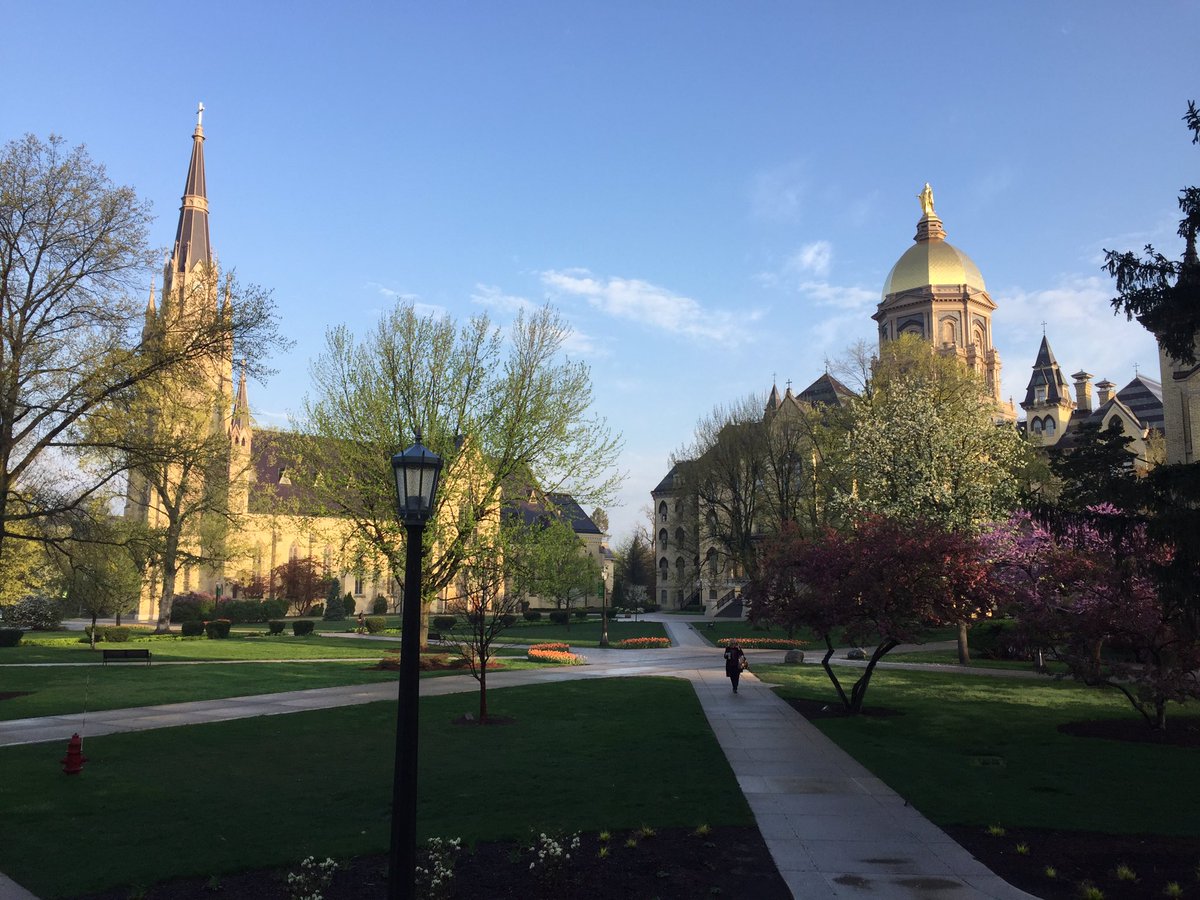 Spring is here! ☀️☀️