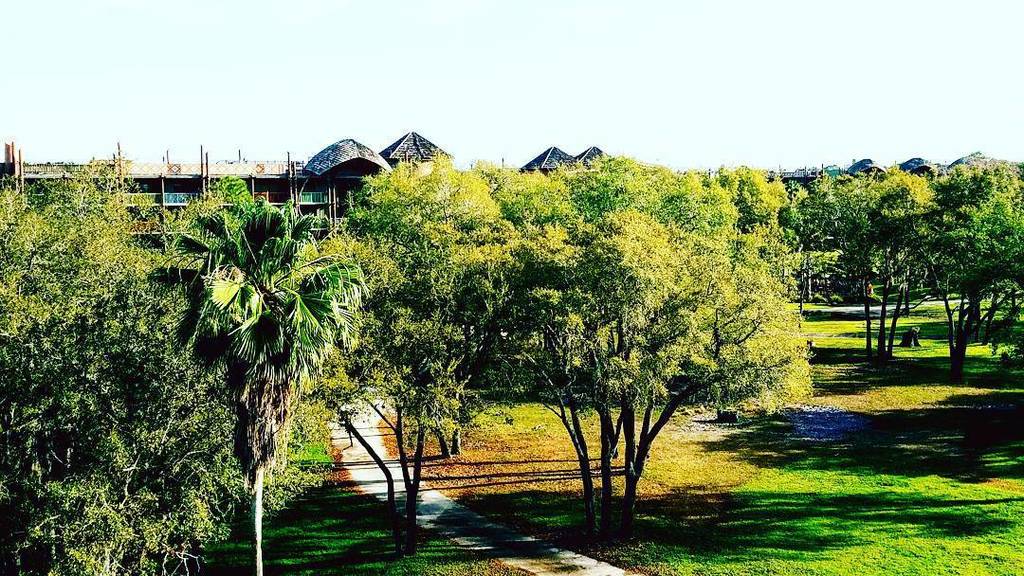 NerdyFamTravels's tweet photo. My morning view looks a bit different this morning.
#animalkingdomlodgekidanivillage
#animalkingdomlodge
#darksi… https://t.co/Q8C7VSwfve https://t.co/gdhTBggxK2