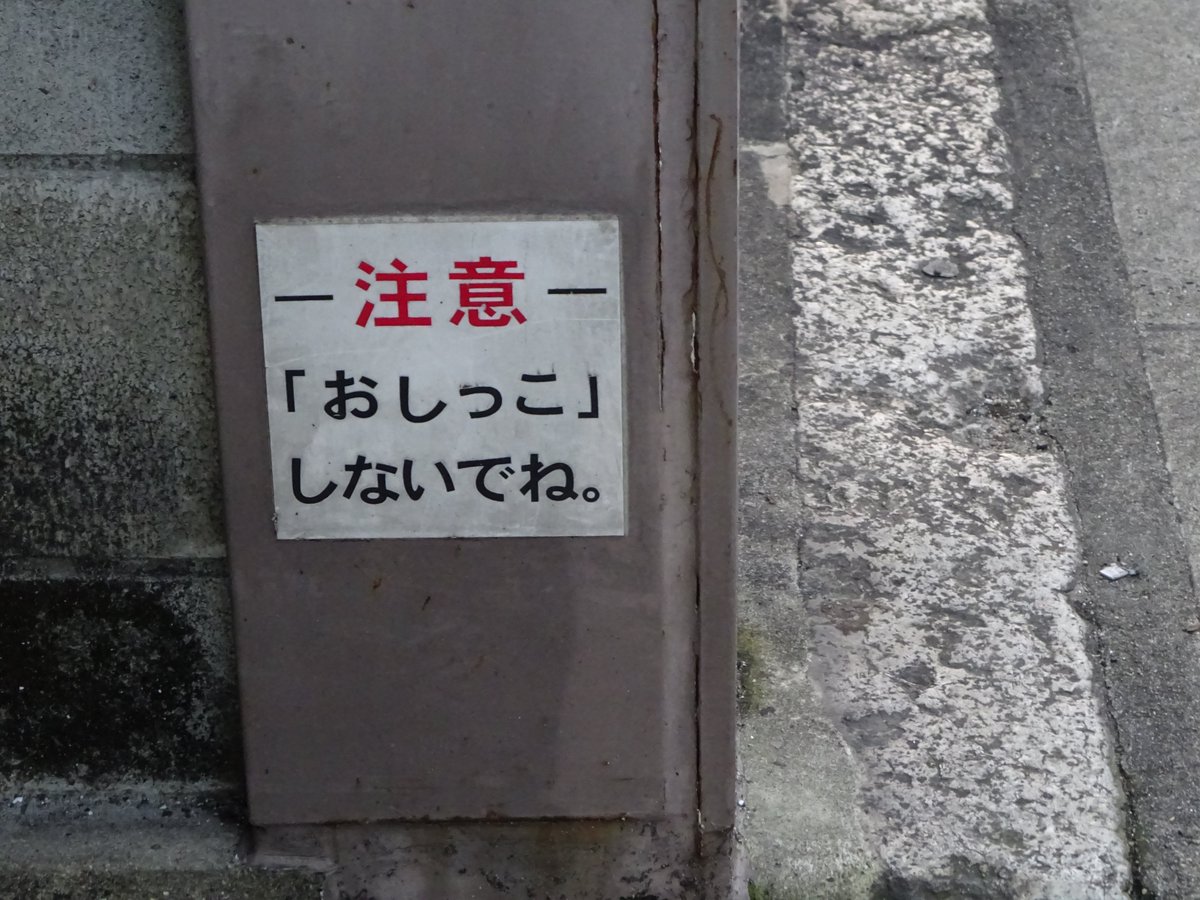 unvisited_kyoto's tweet image. 犬猫目線に設置
位置: goo.gl/dCPfvI
#犬好きさんと繋がりたい #猫好きさんと繋がりたい #ペット