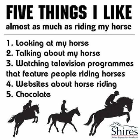 BeautifulHorse8's tweet photo. #nationalhighfiveday https://t.co/4QPWB0yDIb
