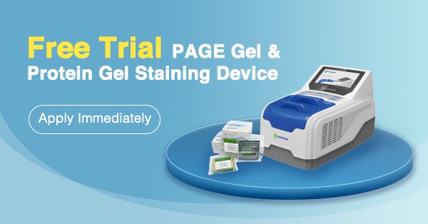 GenScript's tweet photo. Apply for free trial ExpressPlus™ PAGE Gels & eStain® L1 Protein Staining Device. https://t.co/F6jKbzXNV8 #MakeResearchEasy https://t.co/BTMMOXpkCP