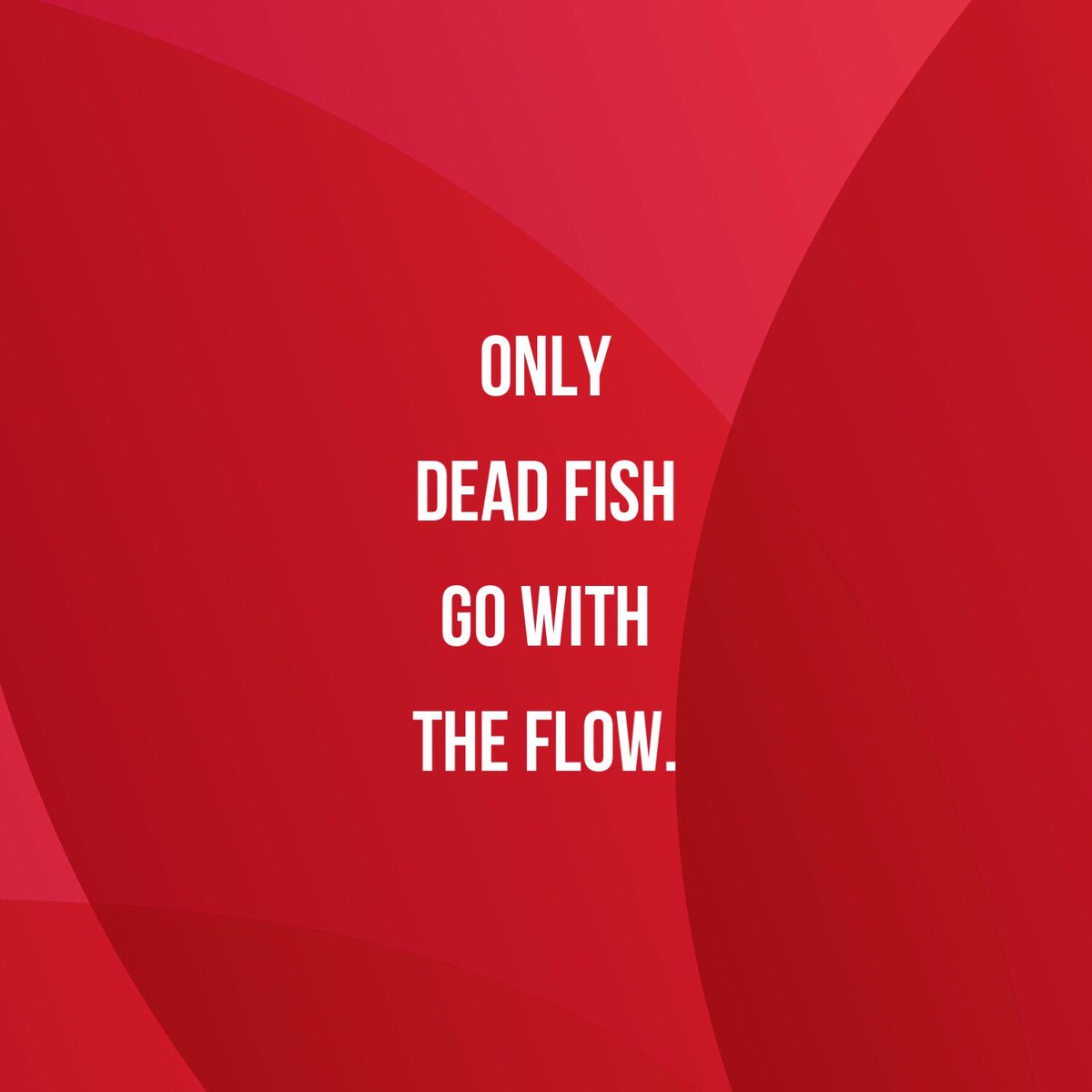 Lmandy12's tweet image. #happyToBeAlive