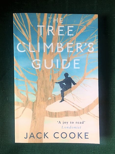 read forest management