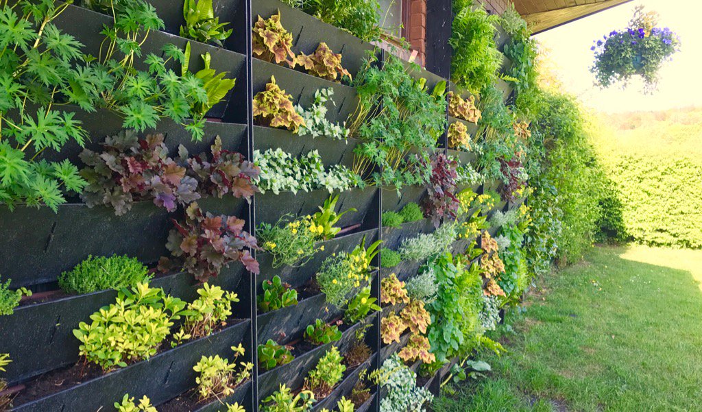 Living wall all now replanted #henley
