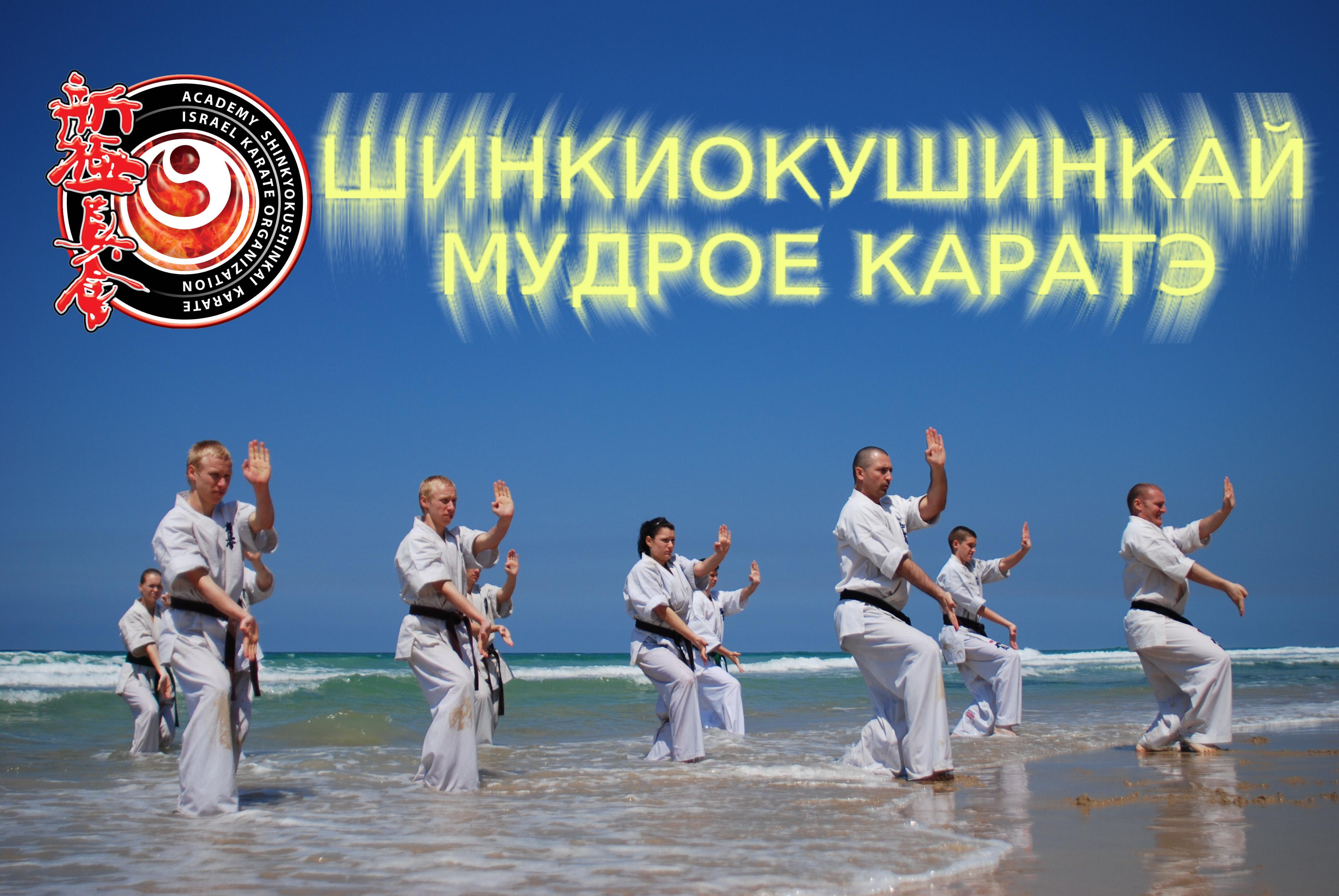 Шинкиокушинкай каратэ