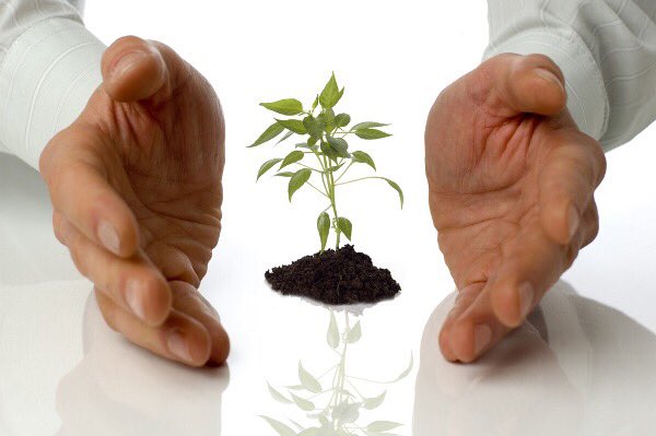 active_platform's tweet image. -

إن أردت اطلاق شركة ناشئة اعلم أن الطريق ليس قصيرا وإحتمال الفشل وارد جداً خصوصاً في عالمنا العربي. 🌍
#منصة_فاعل