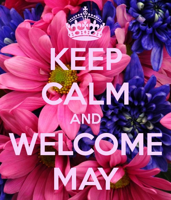 Hello may please. Hello May картинки. Welcome May. Картинка на тему hello May. Hello May сториз.