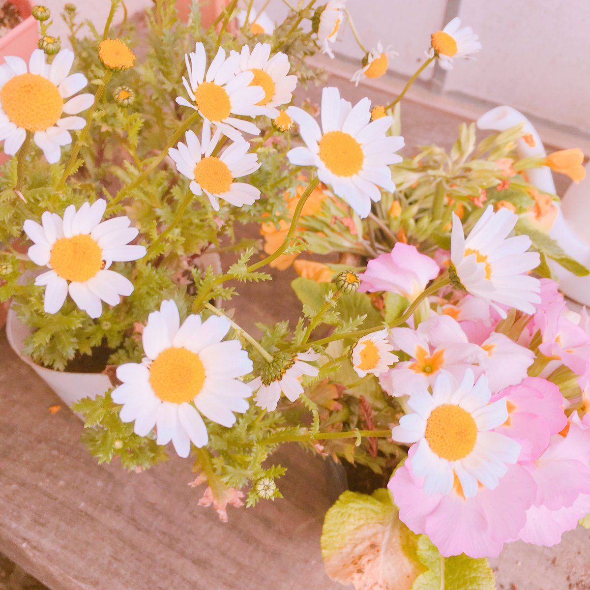 ccchi__'s tweet photo. お友達増やしたいからタグ🌸

95年生まれのヨジャ
ピンクと韓国が好きです

#韓国好きな人と繋がりたい #韓国好きな人RT #雰囲気嫌いじゃないよって人RT #RTで気になった人お迎え #selca https://t.co/gQnpcY91xd