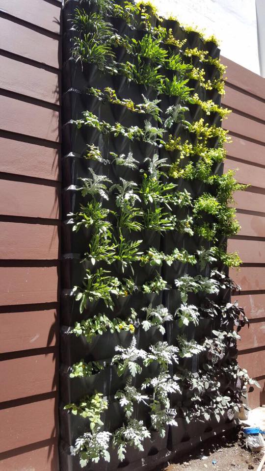 Tover je saaie balkon of dakterras om tot een Urban jungle of verticale moestuin met Minigarden plantenwand systemen.