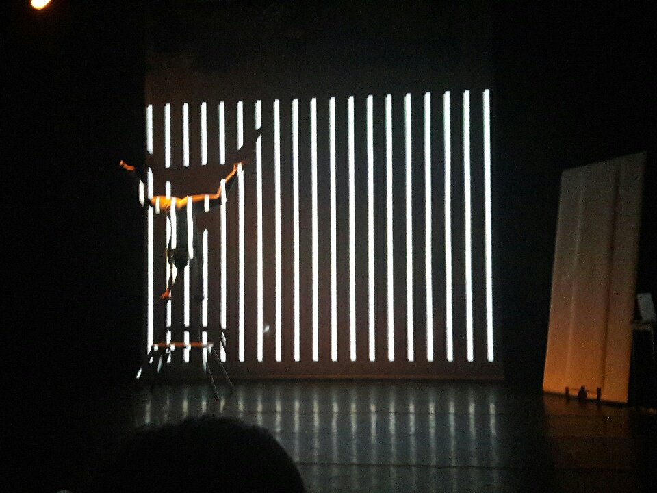 The Circus Diaries tweet media