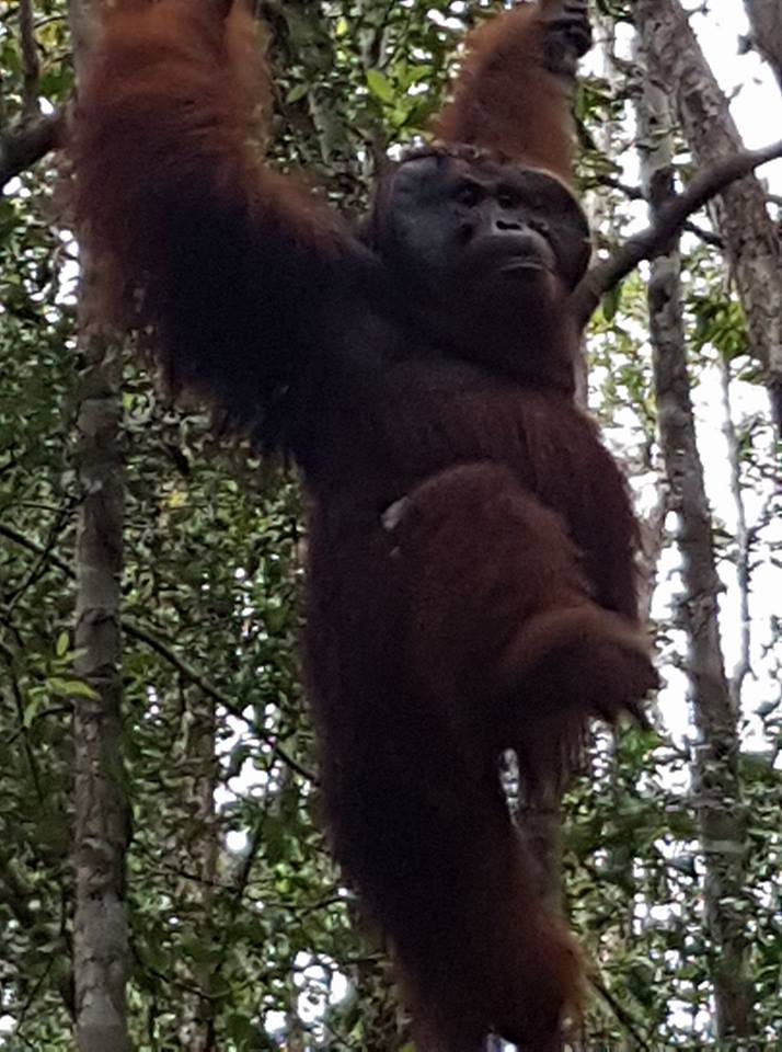 salsilver2's tweet image. #lucky to see the king