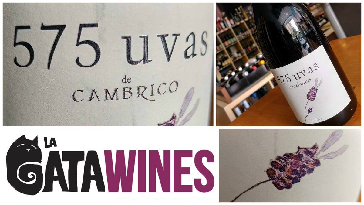 lagatawines.com Ven a descubrir este maravilloso vino de la D.O. #SierradeSalamanca. #winelovers #catlovers #Linares