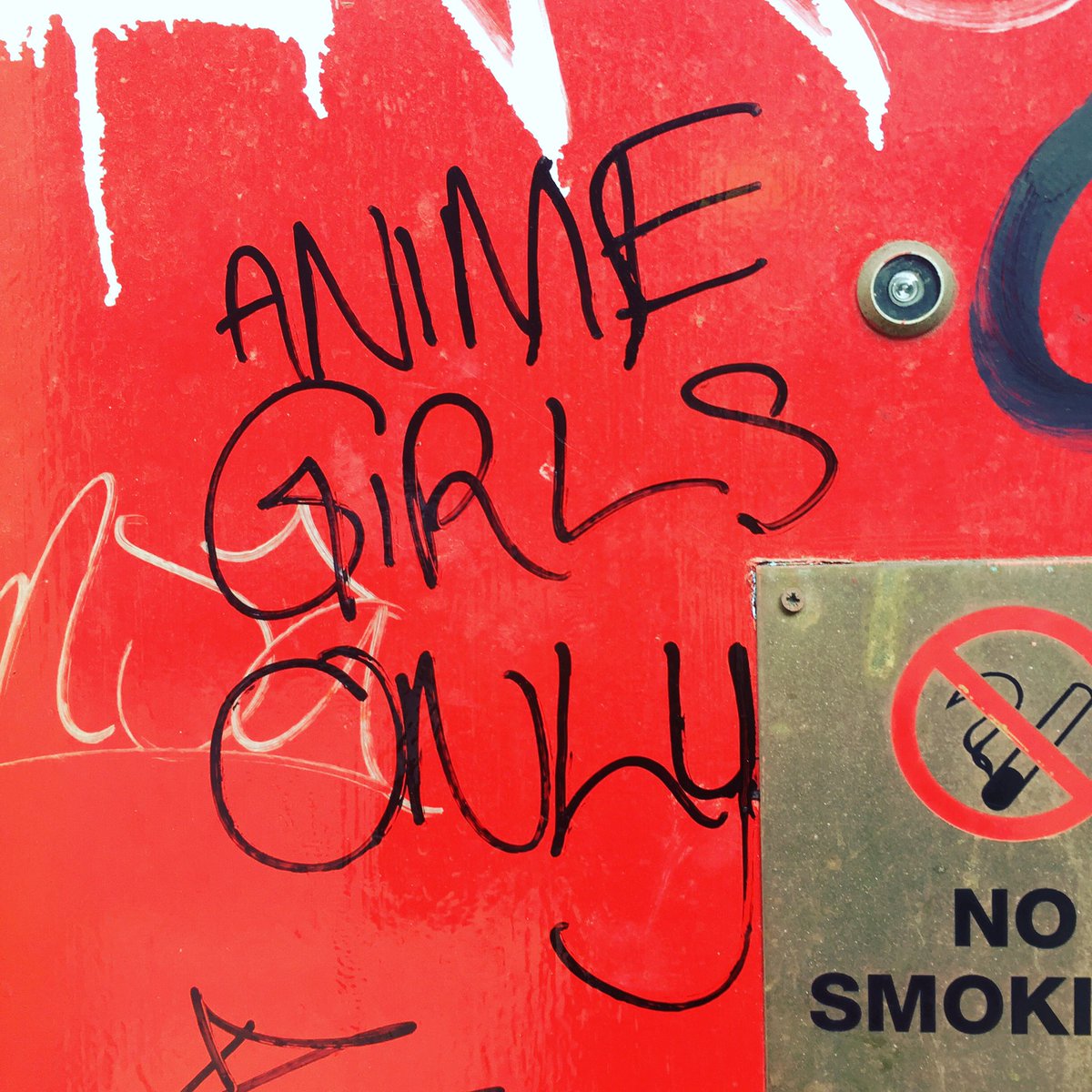 Why_U_Reading's tweet image. ANIME GIRLS ONLY
Bungalows &amp;amp; Bears, S1

#Sheffield #streetart #graffiti #streetwords #typebrut