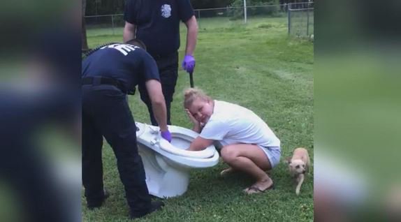 wsbtv's tweet photo. Woman's bad day gets worse after her hand gets stuck in toilet: https://t.co/uFYsXfmrTl https://t.co/otBSVJndx0