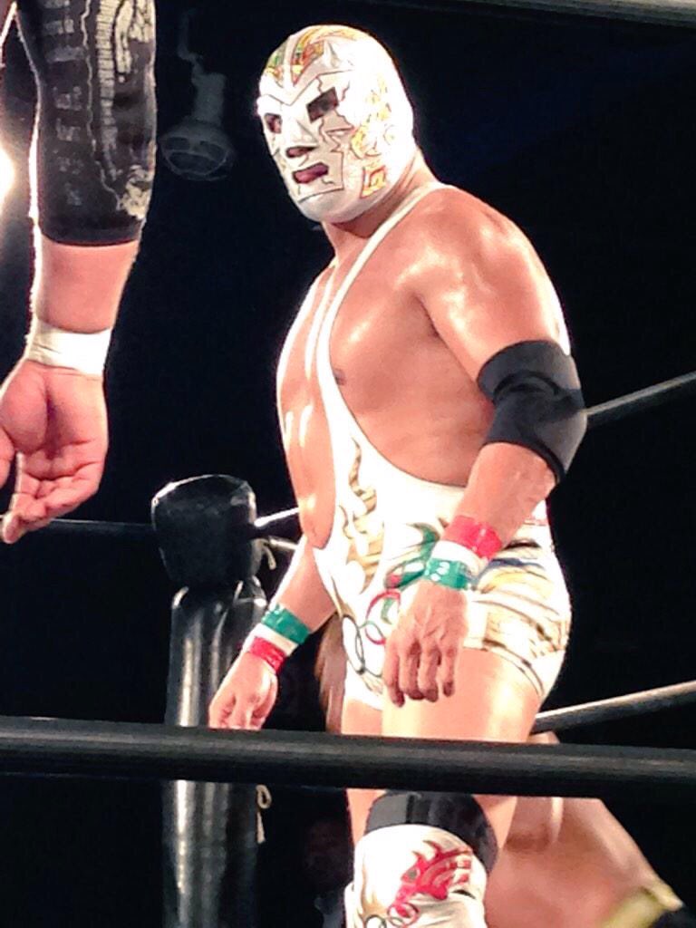 ドクトル ワグナー ジュニア