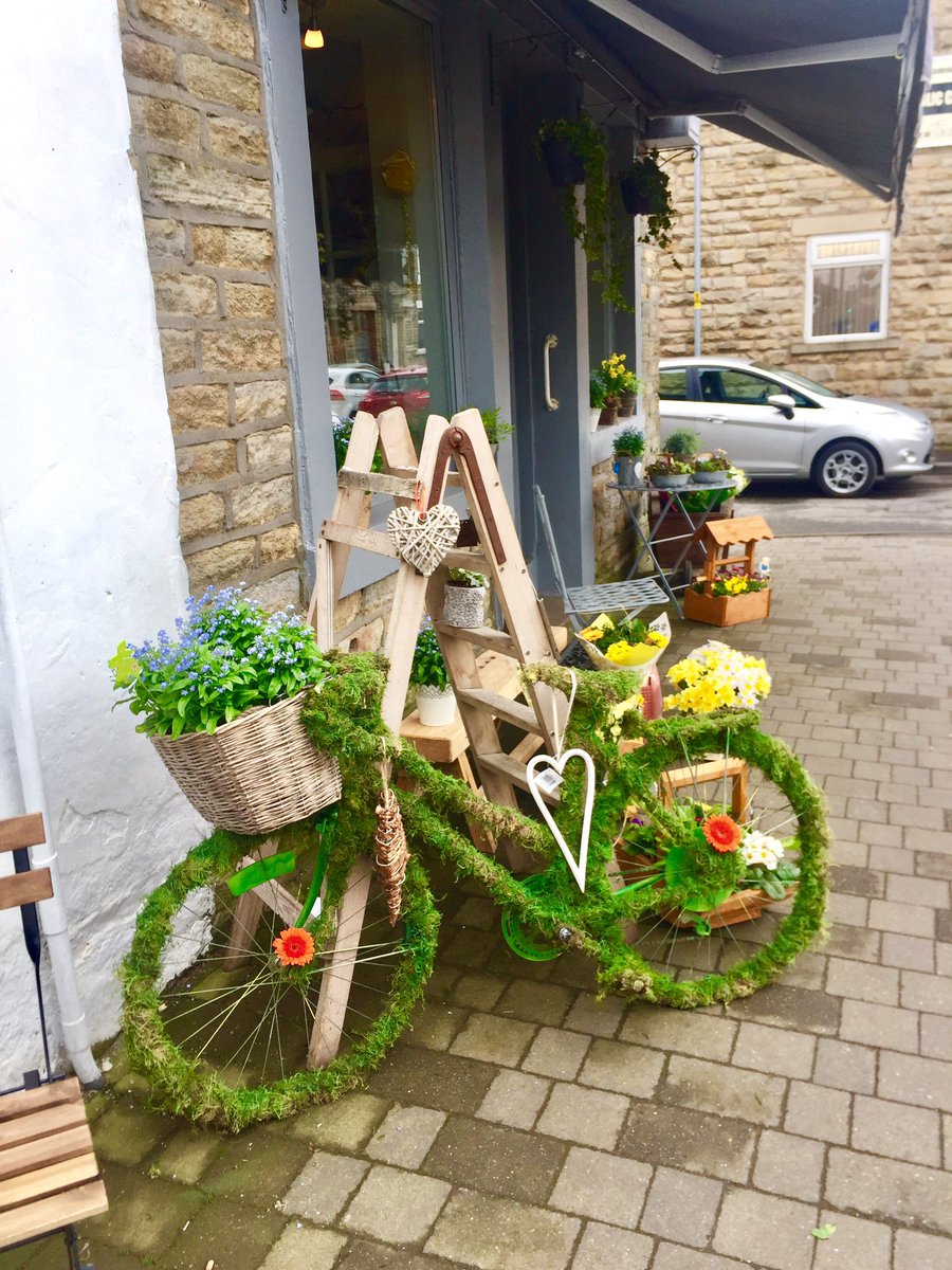 Our handcrafted Mossed Bicycle ! Something a bit different 🌻<a href="/GOEnorden/">Garden of Eden</a> <a href="/RochdaleNews/">Rochdale Observer</a> @RochdaleOnline #quirky #vintage #village #florist