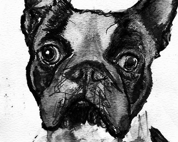 OscarJetson's tweet photo. Boston Terrier print, dog Painting, Boston Terrier art , Boston terrier wโฆ https://t.co/cQBKE8bWu8 #etsy #BostonBull https://t.co/XUzXgFkMKu