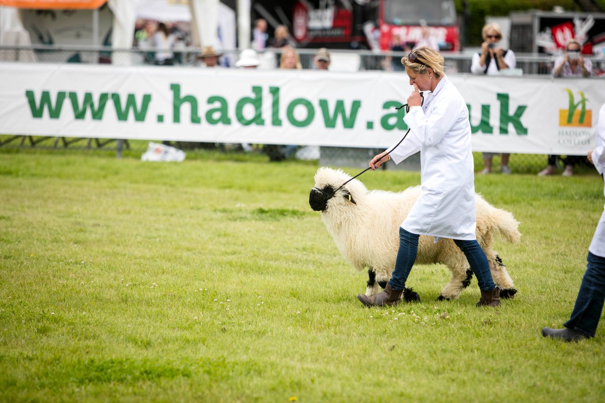 kentcountyshow's tweet image. Are you interested in advertising to 80,000 visitors at #KentShow2017? Book a banner site in one of our Show rings goo.gl/MPB43l