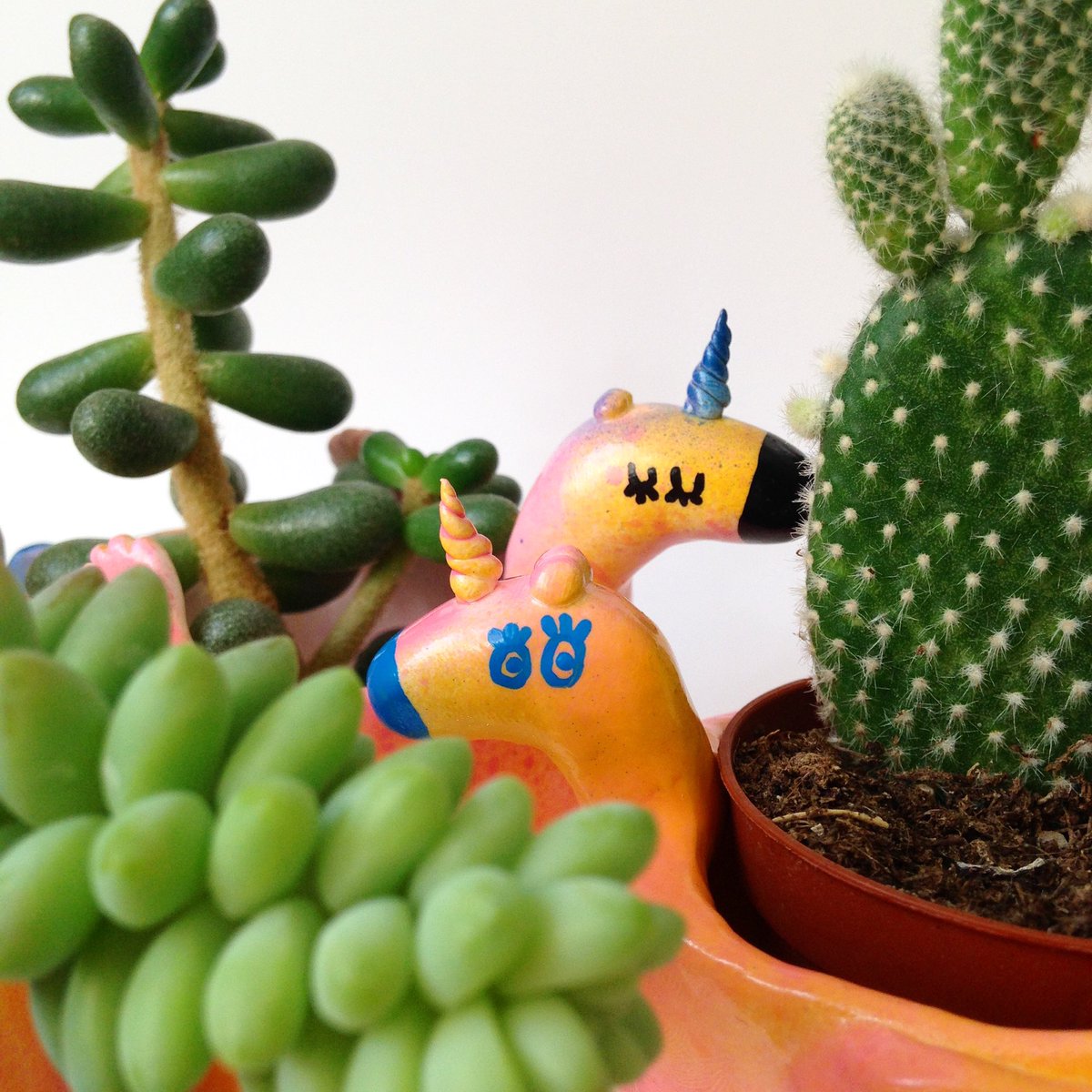 hilumpyunicorn's tweet image. 🦄 &quot;your cactus smells so succulent!&quot; ✨🌈🍄#Cardiff #pun