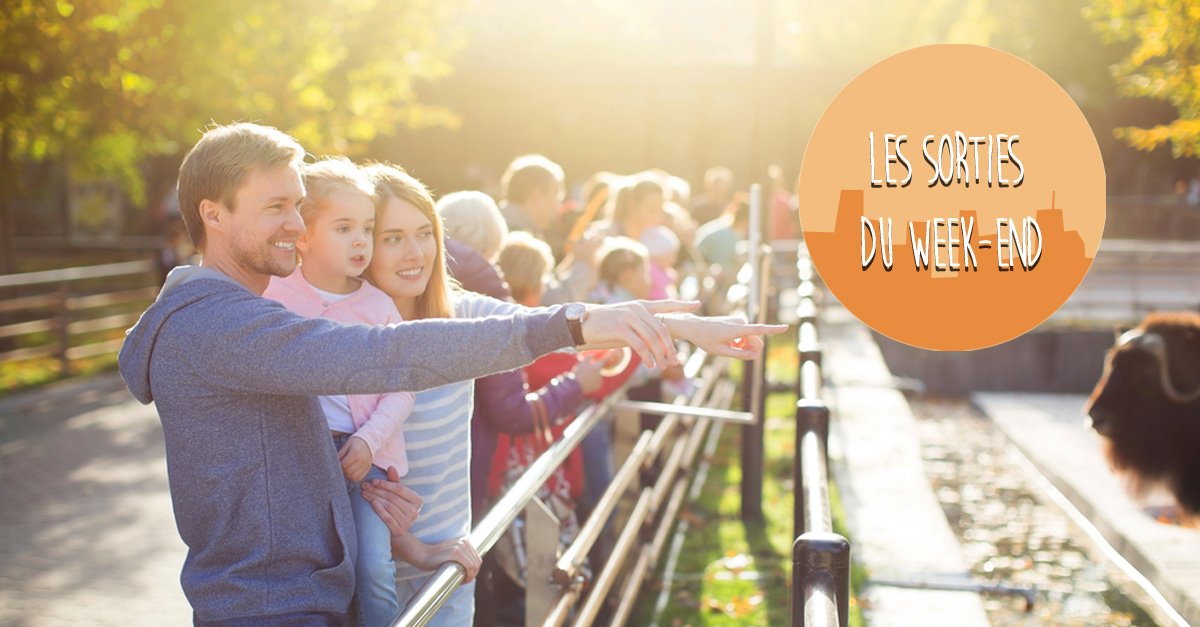 YesWeMum's tweet photo. Idées sorties à la ferme, expos : en avant les bons plans #kidfriendly
https://t.co/s7ydhWL6AI https://t.co/LZIxNyrlux