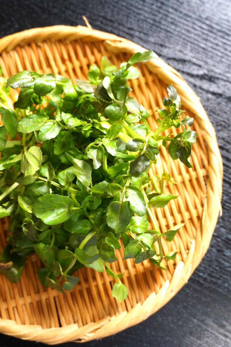 ট ইট র 郷土料理 武田 旬の山菜が入荷 その2 天然物のクレソンが入荷 クレソンは小川に自生する山菜ですが 水質の良さが 味に影響するとされています 綺麗な小川の多い 北海道道東のクレソンは山菜としては最高です クレソンの天ぷら 450円 ট ইট র 郷土料理 武田 旬の山菜が入荷 その2 天然物のクレソンが入荷 クレソンは小川に自生する山菜ですが 水質の良さが 味に影響するとされています 綺麗な小川の多い 北海道道東のクレソンは山菜としては最高です クレソンの天ぷら 450円