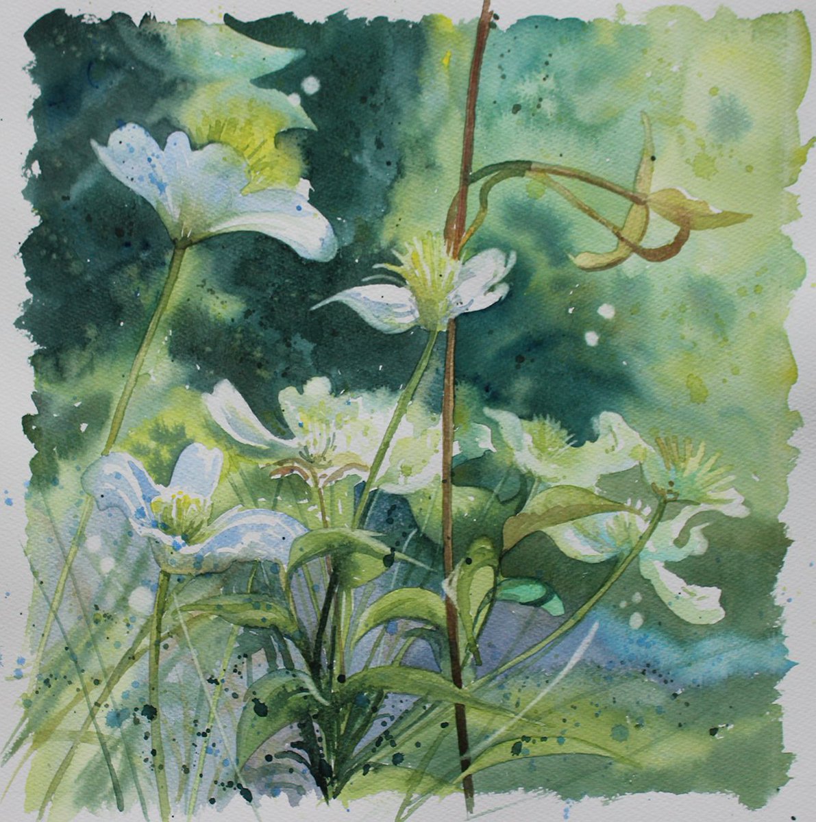 Hooray! This has sold from my exhibition at @TrengwaintonNT,  the gardens are looking stunning at the moment