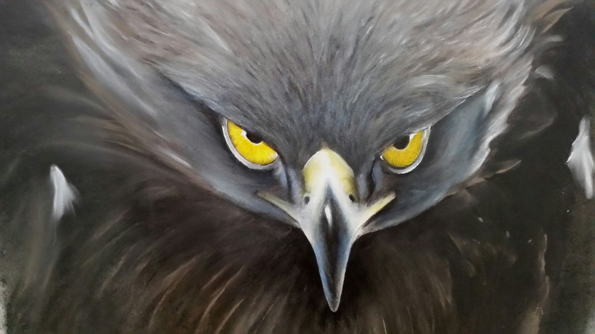 Pastel eagle artwork almost complete.  By Ann Window #AnnWindow #art #eagles
